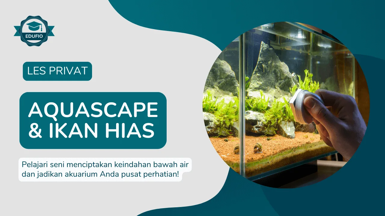 Les Privat Aquascape & Ikan Hias di Jogja
